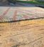 Укладка тротуарной плитки классика в Гатчине